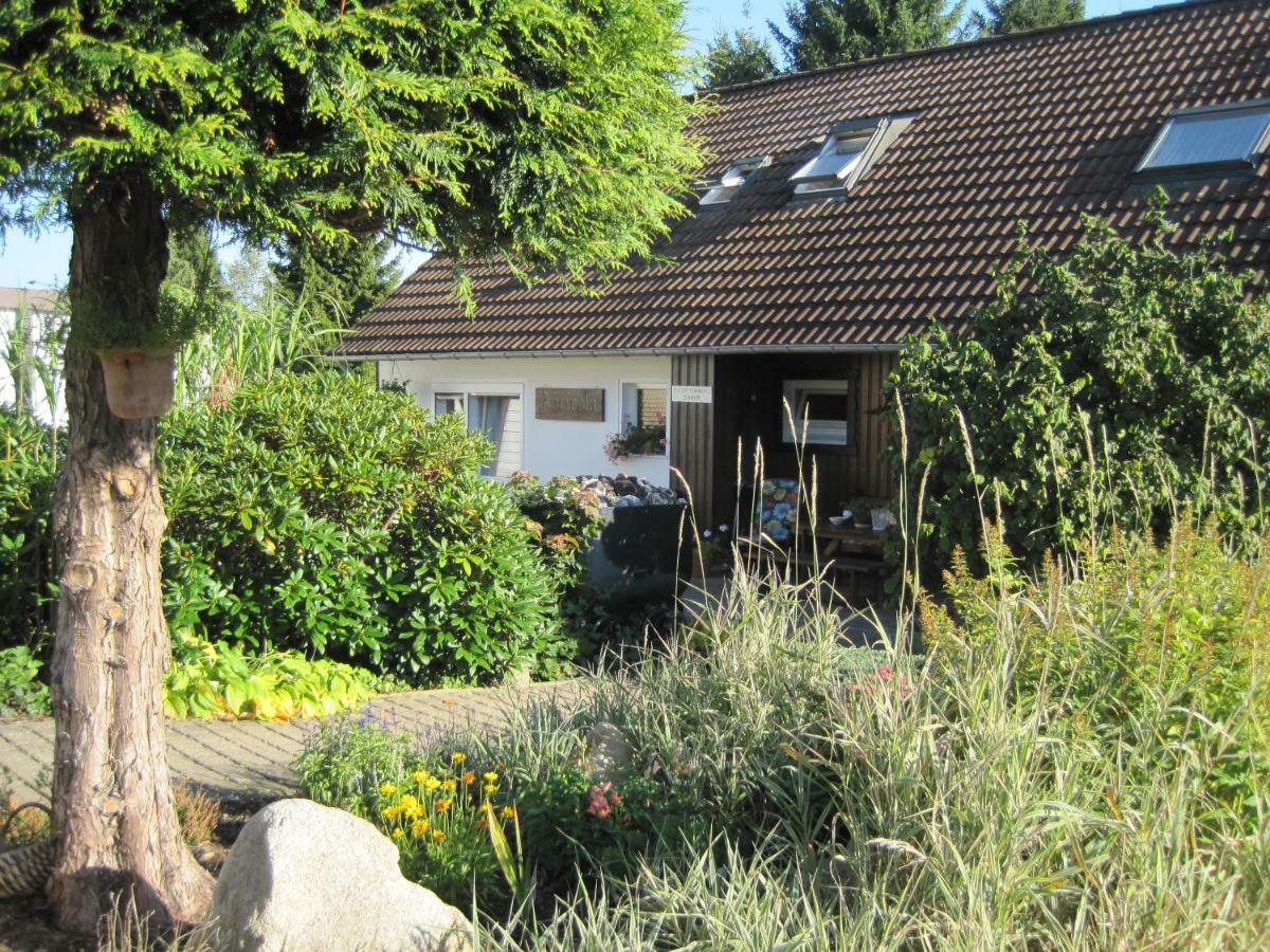 Haus Agricola - Ferienwohnungen Altenau  Exteriör bild